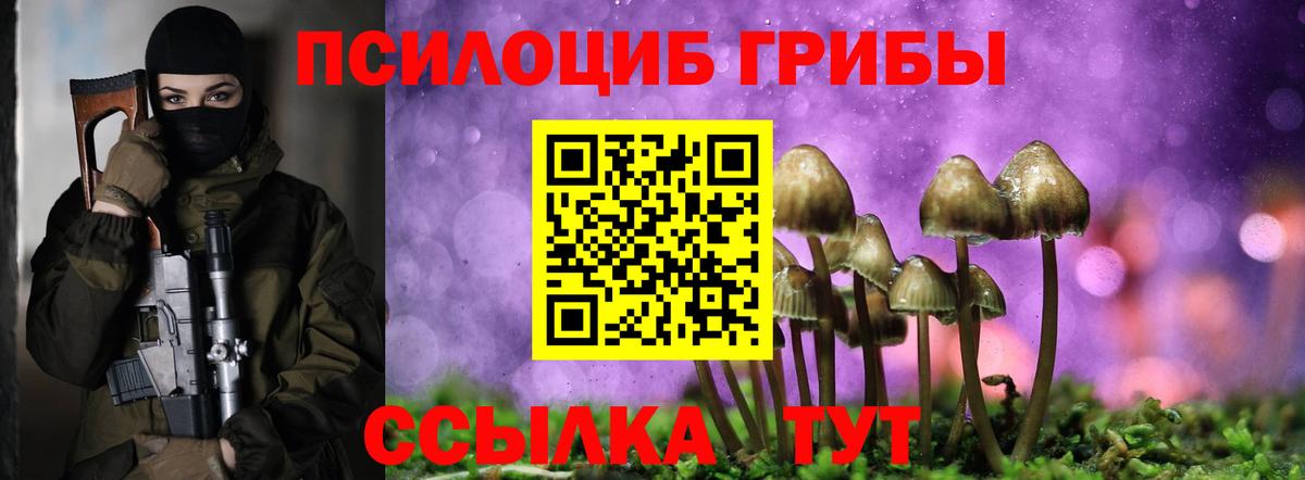 Псилоцибиновые грибы GOLDEN TEACHER  Вход с VPN  Псилоцибиновые грибы Psilocybine cubensis  Лесосибирск 